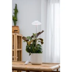 Airam Iris IP20 5W 240lm Valkoinen Kasvivalo -Kärkkäinen 6435200292629 2