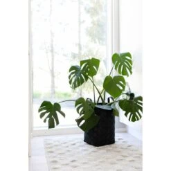 Aina Lastukori -Kärkkäinen 6438014270524 3