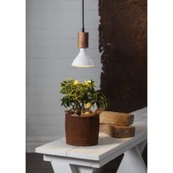 Star E27 PAR38 1700lm Led Kasvilamppu 8 Star E27 PAR38 1700lm Led Kasvilamppu -Kärkkäinen 7391482039729 3