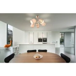 Globo Paco 5-os Kohdevalaisin -Kärkkäinen 9007371345397 2