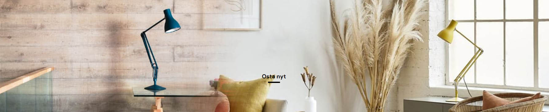 Kärkkäinen -Kärkkäinen tyiyi